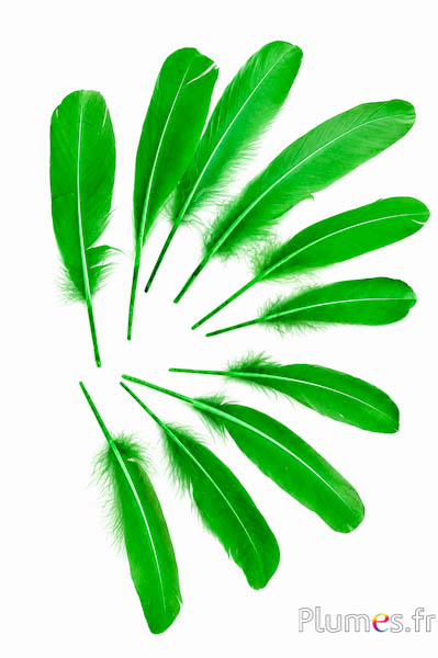 Gans - 15-21 cm - groen